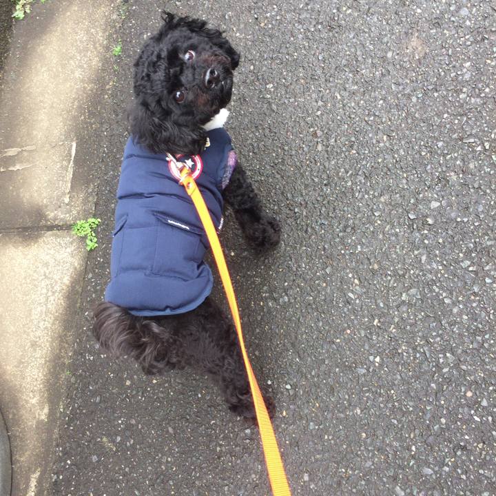 5bbc9ee8 db23 4202 8e68 ad67302c4de2