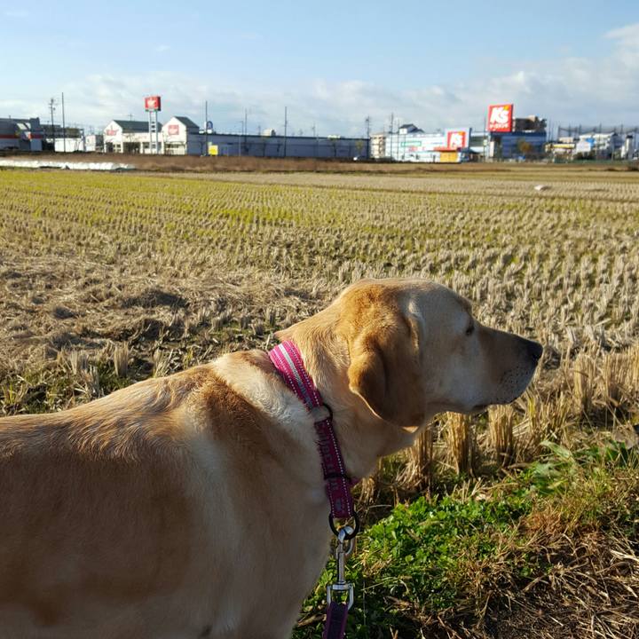 5bbcd54e eacb 4578 b313 4b545d8ce27a