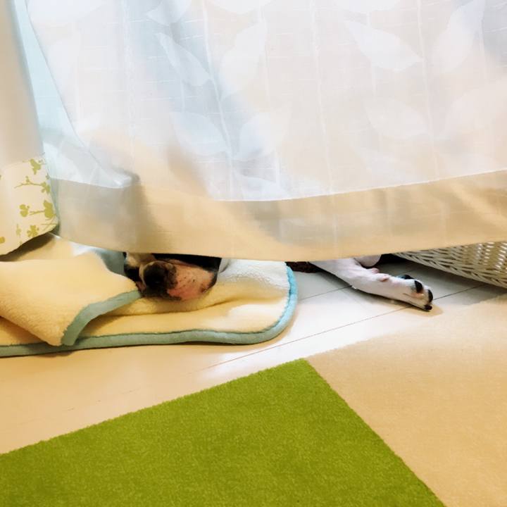 5bbcfef7 ed27 42c4 810d c0fc18de9a54