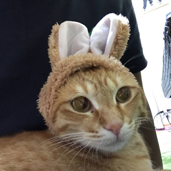 5bbdd641 35aa 4ba9 aaf0 b8459f3b4717