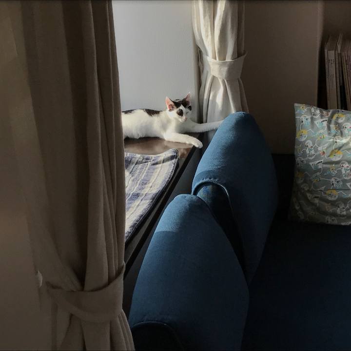 5bbe1a4c a0ca 4669 84a8 060471bc4591