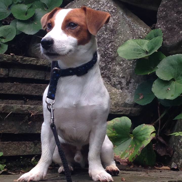 5bbe3105 bc8c 45c3 b6cd 178638577b07