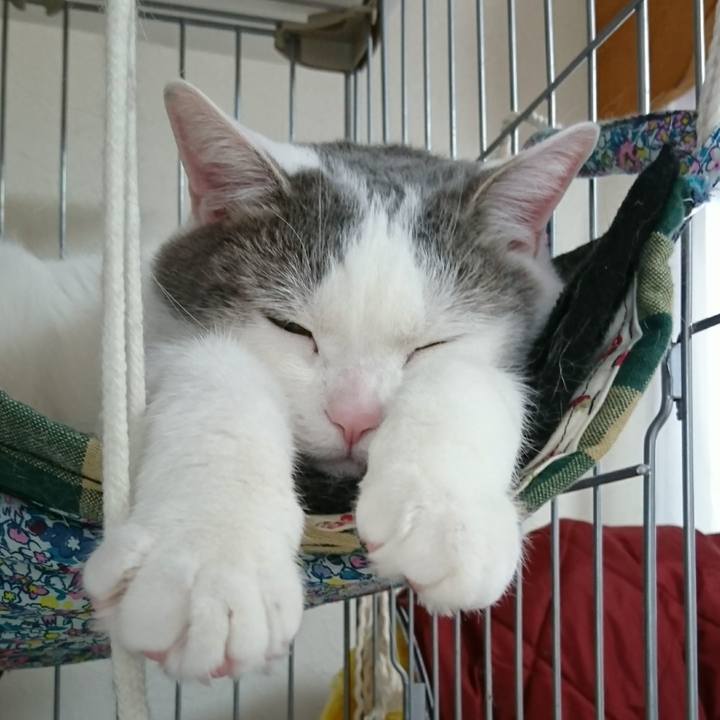 5bbeebee d546 4963 8d78 77d98e8a0519