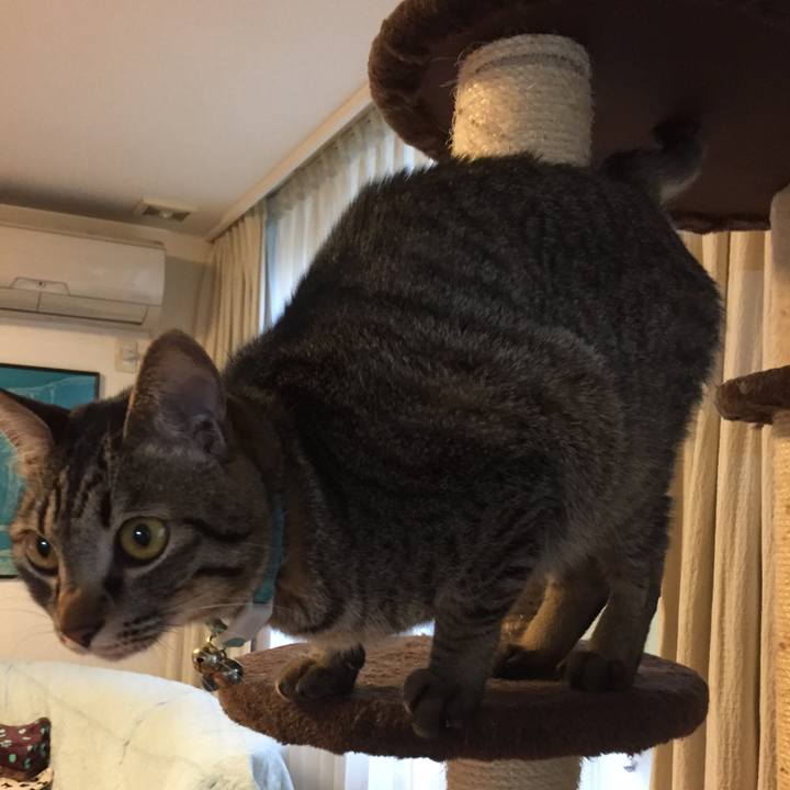 5bbf271e d927 4d64 98d2 a40d33ca92cd