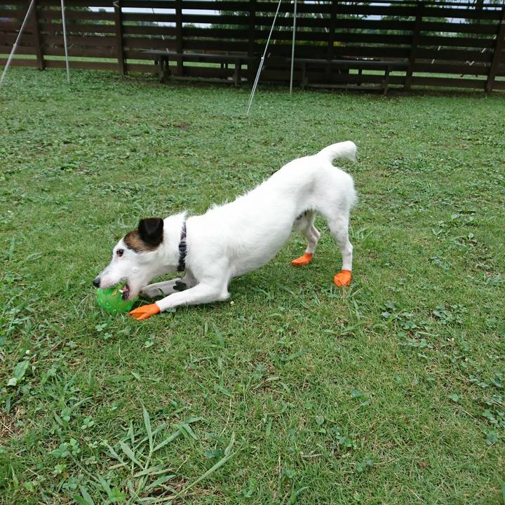 5bbf3f99 9662 4796 ba29 9e6ab93c02e2