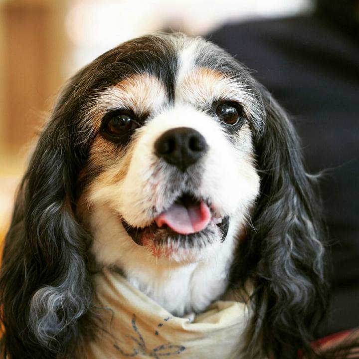 5bbf67b3 1156 4a93 b60b 8386bfead1c4