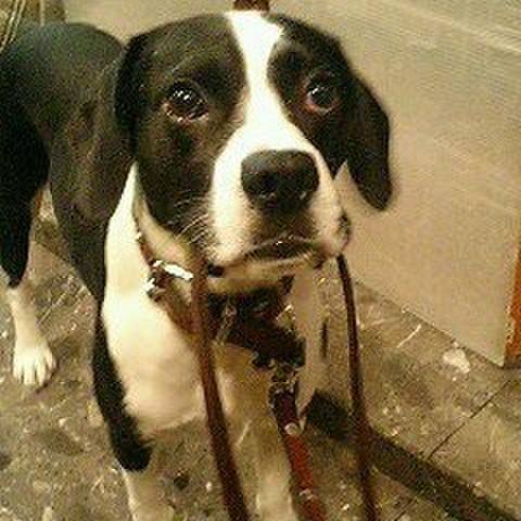 5bc0866e 6cfc 4d0e bf86 ffd815130bb5