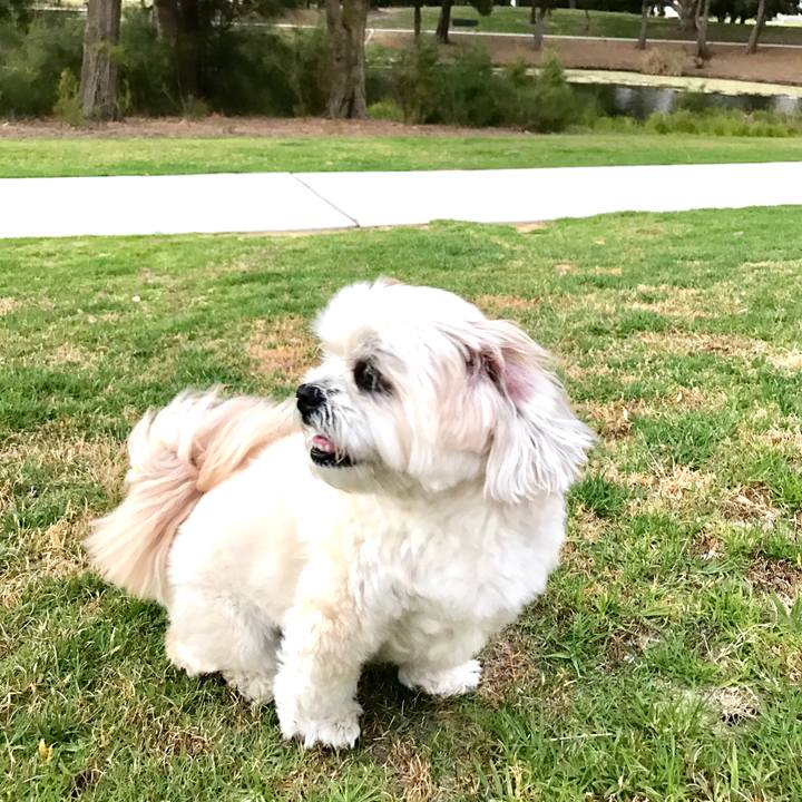 5bc10ce6 21f6 4a44 bc71 f62fb6a1c8ff