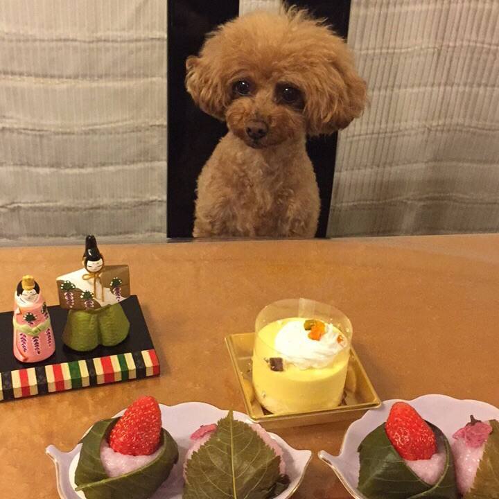 5bc250b4 4b4c 4a4e af0b e6a9aea95af0