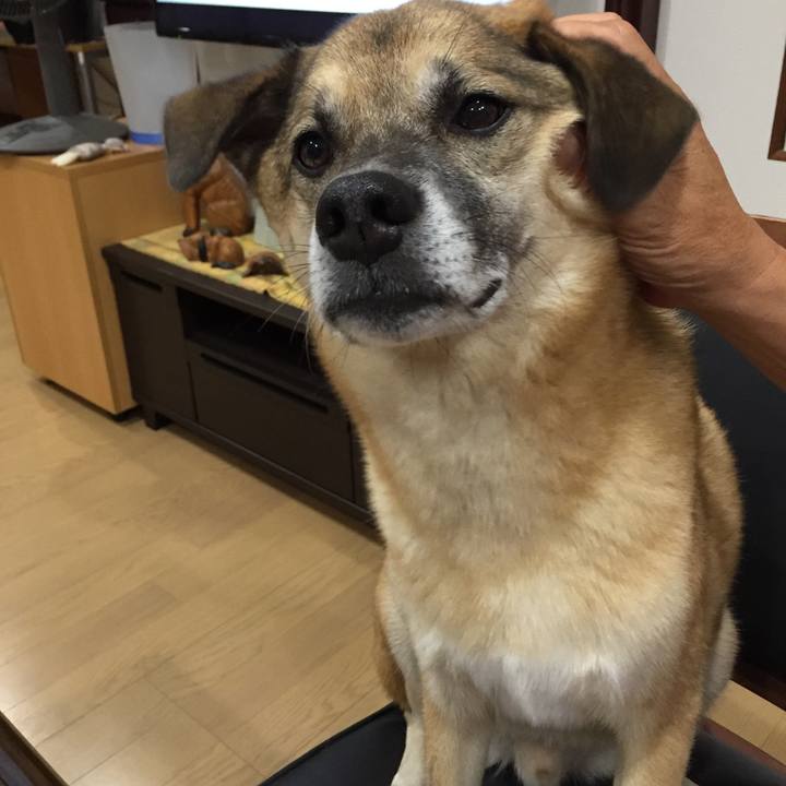 5bc25411 87dd 4d23 b44a 789aa0589c1d