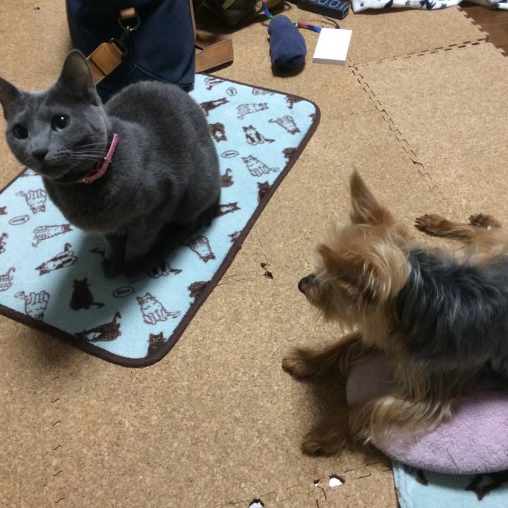 5bc2ef3d 1c98 44d7 9608 84ed5e45c579