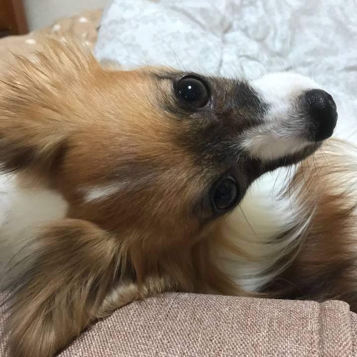 5bc2efa6 58e4 4566 aa0a 83e4c21dd153