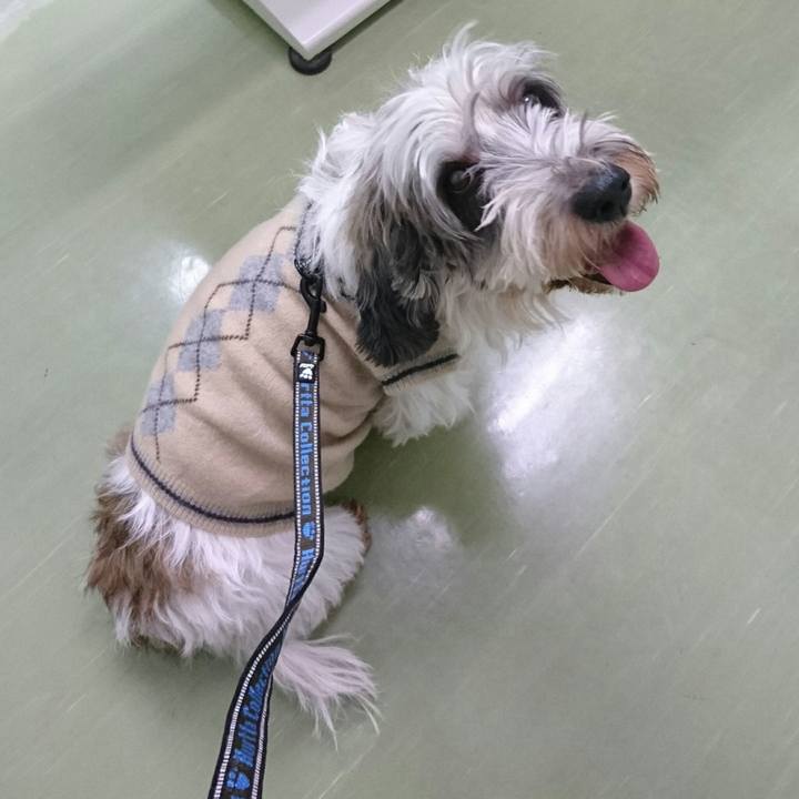 5bc30f29 e6f5 4355 861b 86c5c42e175a