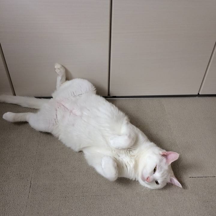 5bc33091 e844 4068 87ab 55878141dea4