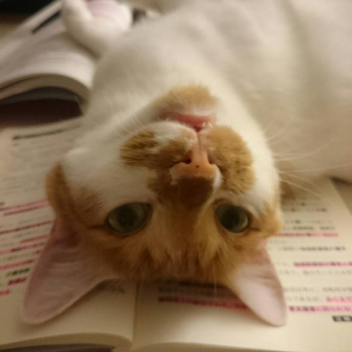 5bc34bd3 55f4 4597 a631 72eb0e05e895