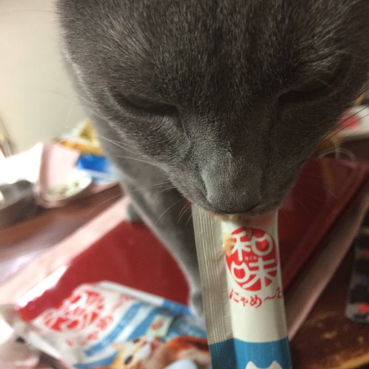 5bc37569 4f94 41fc a2aa c81a9eb4f0ef