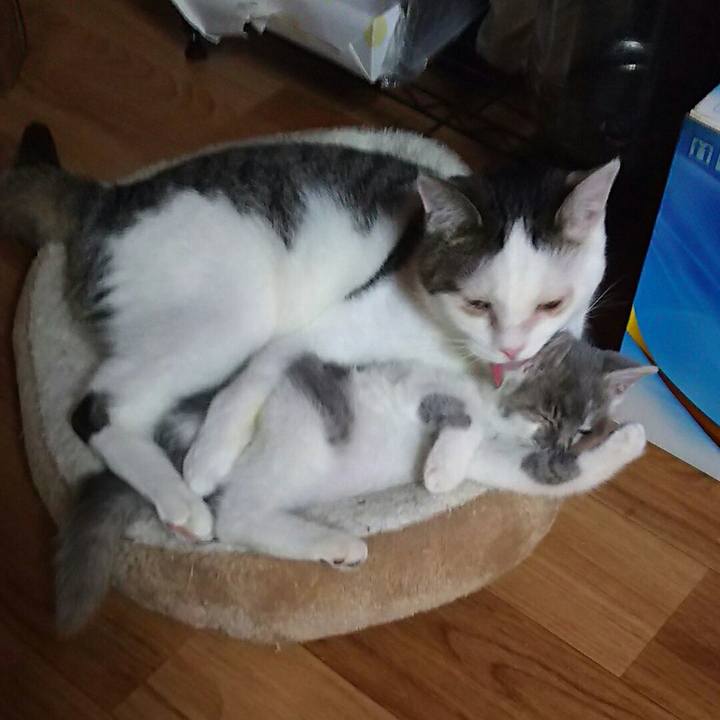 5bc43b82 21e1 49e8 8f9f 5e3ebcc4d49e