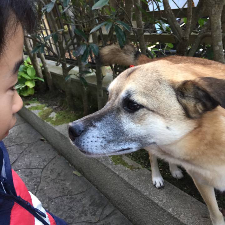 5bc51c66 1e47 4050 b4f3 a855d6f6d193