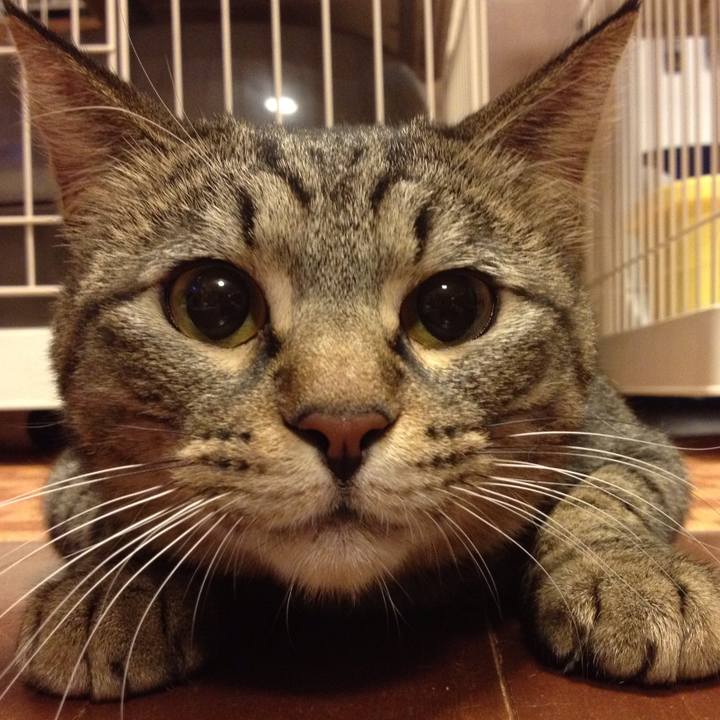 5bc574d1 971f 4efe aa54 3a083498fc19