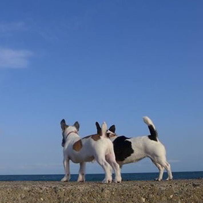 5bc671bb 81db 4a0f b936 e285917e5c8b