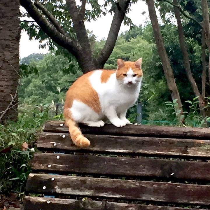 5bc6cc59 dc81 41c3 9bb0 1f779d07d554