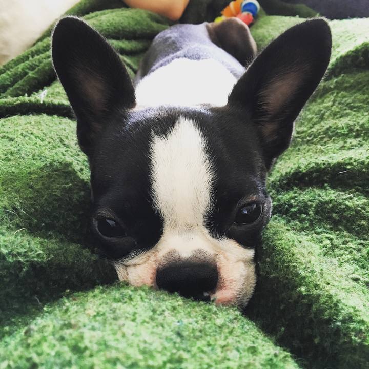 5bc7099b 82f6 4220 a160 88688056f6ea