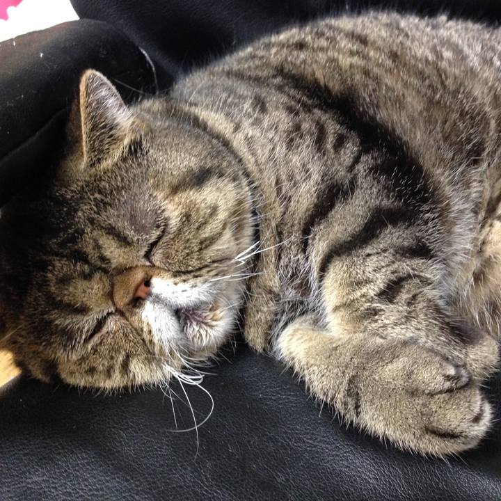 5bc76c66 c94c 4e5f 8496 4e86f640196b