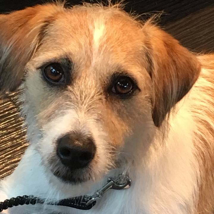 5bc7ff72 9963 491e 975c 74f18feb9fd9