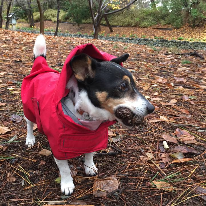 5bc8f4f8 6e94 4263 b8c3 c245c38bf41e