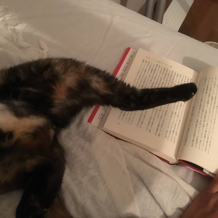 5bc93d25 69e9 4d73 a6ca 6ab879c6ba30