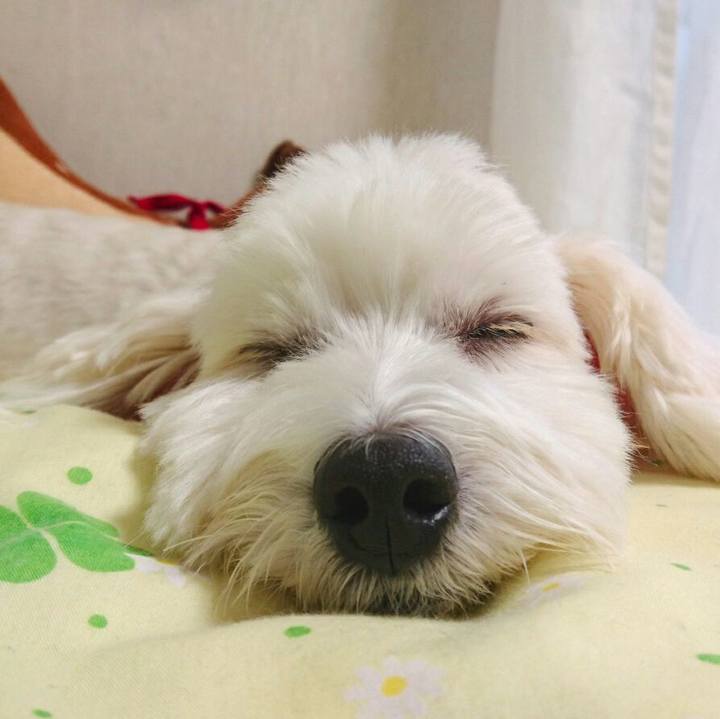 5bc98d1b 43ba 41ba adbf a5d91c160525