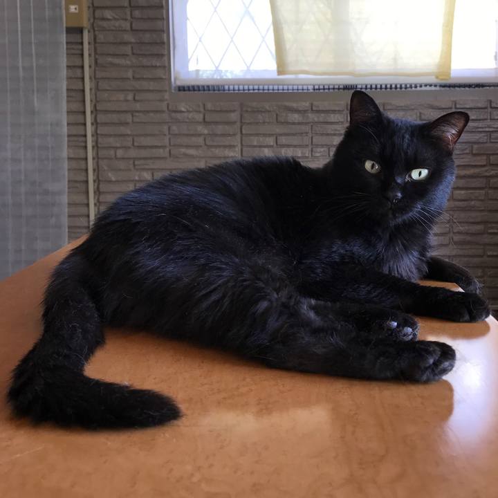 5bc9bb9f 200a 4618 934b d92b304c55d7