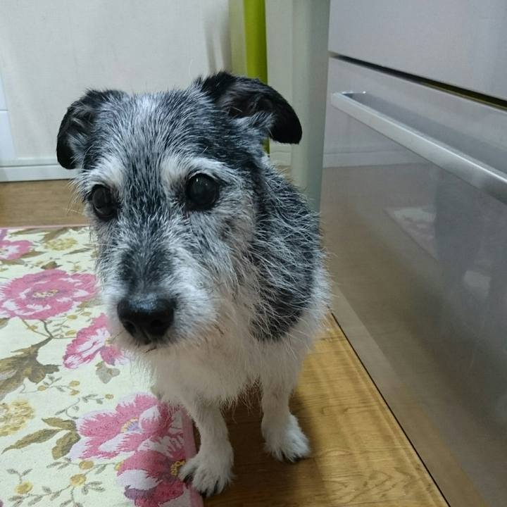 5bca10e7 ec1a 4755 97b1 332fa75abdb2