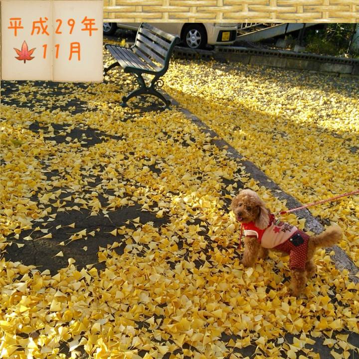 5bca36a1 3ab0 44c0 90c0 c180493d77aa