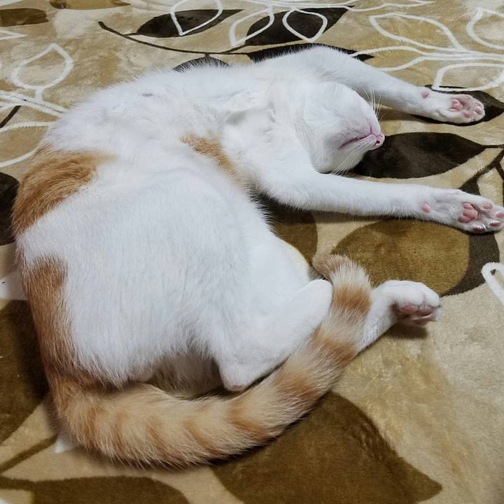 5bca7024 4d87 472f a8b2 0f547912acfb