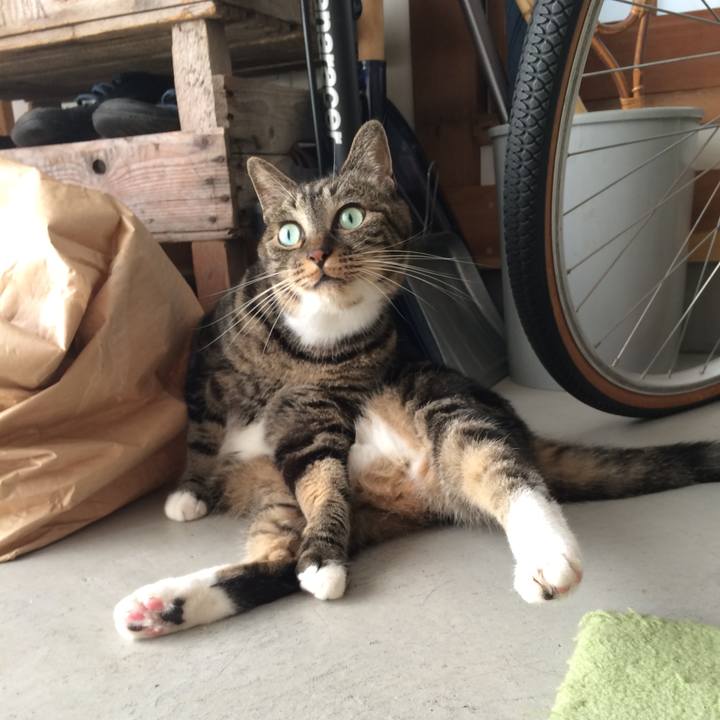 5bcb4a8f d66a 427b 9a32 85beab1fd0e2