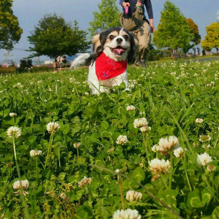 5bcc2e57 bbf9 4f11 ba8f b77d39cd1ad2