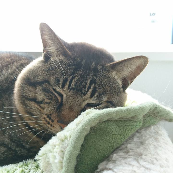 5bcc340d d0f5 48b5 bd17 163954ddf8d1