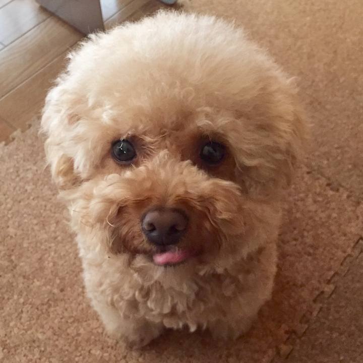 5bcc4468 45f6 4fad 8d72 c32bd2c039f8