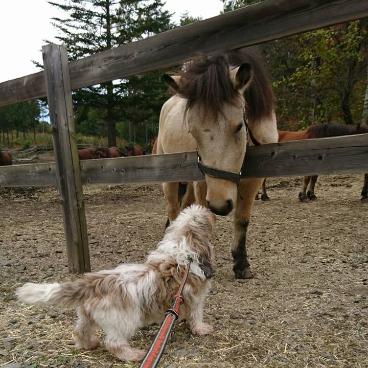 5bcc63aa a4e8 44cd 83b8 d85eb5d2c29c