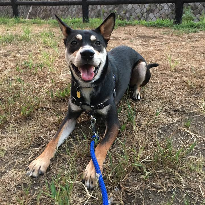 5bccf63e 8bee 48a1 9b9f 1359b6694177