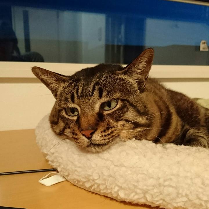 5bcd2eff 3818 444a 874a 7ec63b7534e0