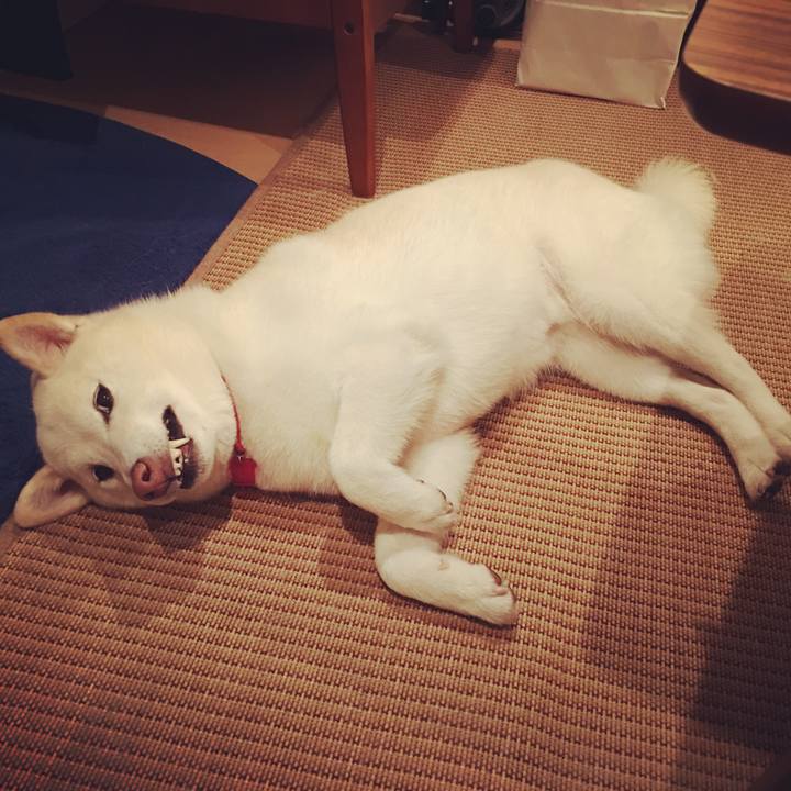 5bcdcceb aa74 4475 b382 0e5ce977f4bf