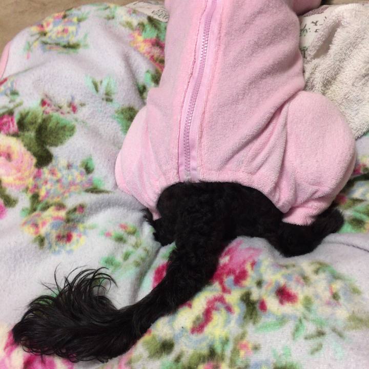 5bce28f1 37cc 4c5e 915e 235859fabd43