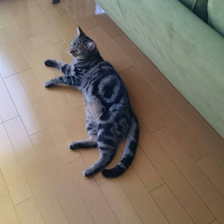 5bce7ead cb67 486d a94d b7ccbd59cb38