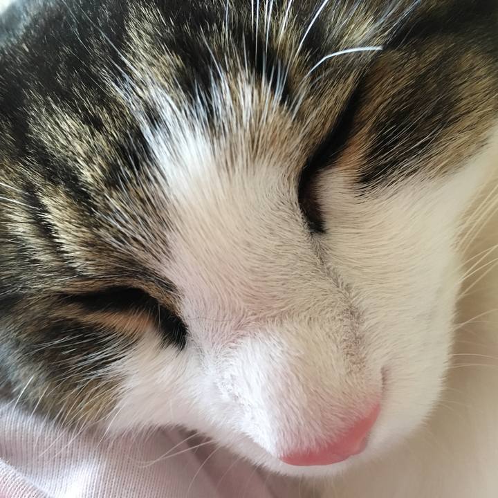 5bce85ee bc51 4c5e b891 6ea9df01745d