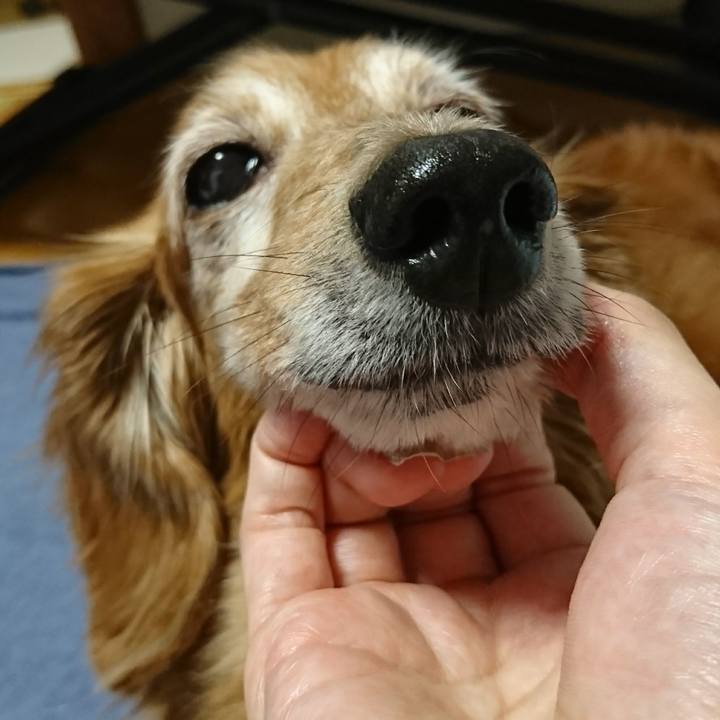 5bcee684 7bcc 4925 a5f3 1eff4784bb69