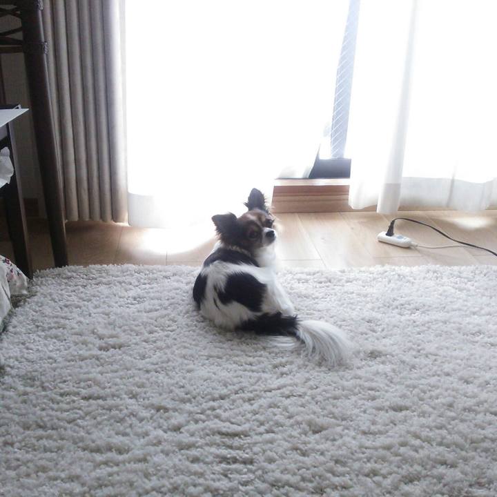 5bd01626 6fc4 433e 90a8 82bb8bdbb332