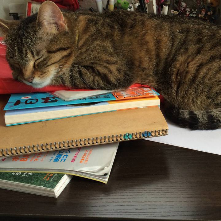 5bd01eeb 9ffd 4031 9731 b2705c53a4de