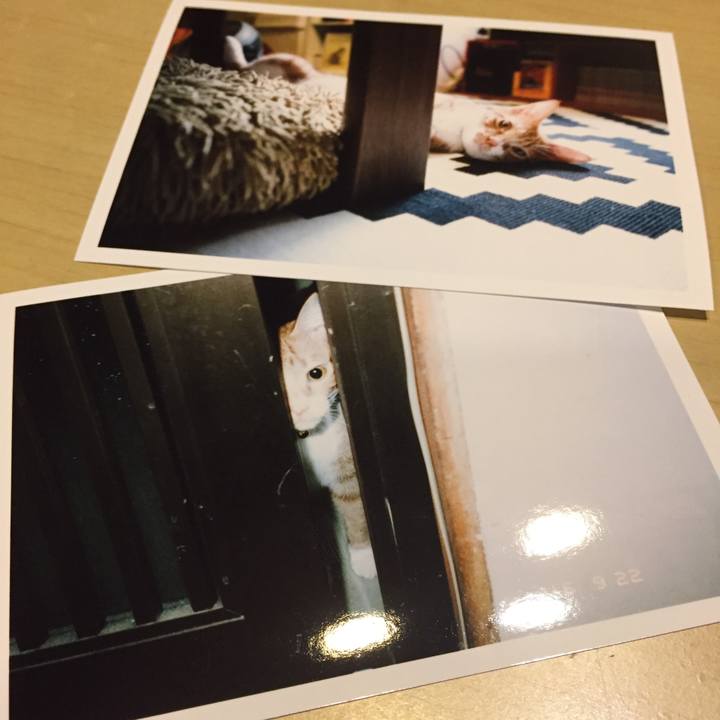 5bd1733d b1d7 4364 aacd 87169ec8b6f5